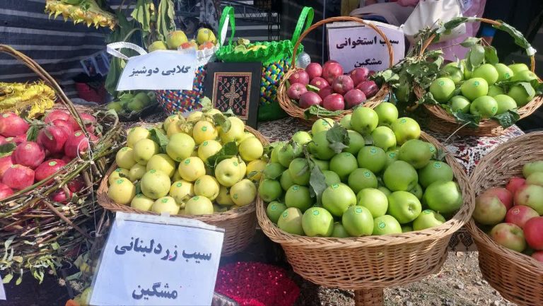 جشنواره سیب در مشگین‌شهر برگزار شد_68d6dae1b612a.jpeg