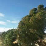 جو استان اردبیل نسبتاً پایدار و همراه با وزش باد پیش‌بینی
می‌شود_68ee417f7f0fe.jpeg