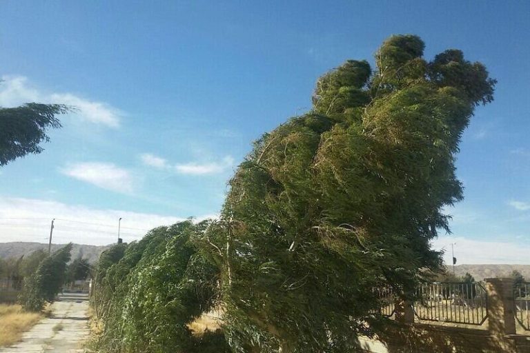 جو استان اردبیل نسبتاً پایدار و همراه با وزش باد پیش‌بینی
می‌شود_68ee417f7f0fe.jpeg