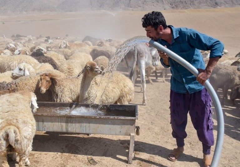 پیرجاهد: آبرسانی و بهسازی راه‌های عشایری اردبیل پیشرفت
چشمگیر دارد_68ec9ba0b55d1.jpeg