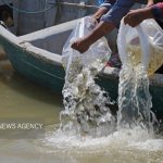 اله بخش:طرح پرورش ماهیان خاویاری در شهرستان انگوت اجرا
شد_69132c60d2d3a.jpeg